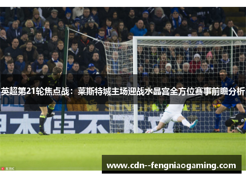 英超第21轮焦点战：莱斯特城主场迎战水晶宫全方位赛事前瞻分析