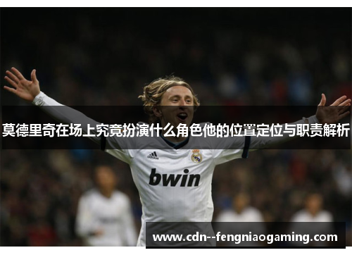 莫德里奇在场上究竟扮演什么角色他的位置定位与职责解析