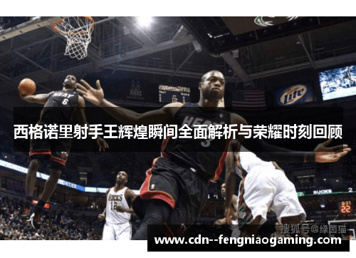 西格诺里射手王辉煌瞬间全面解析与荣耀时刻回顾