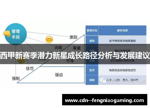 西甲新赛季潜力新星成长路径分析与发展建议