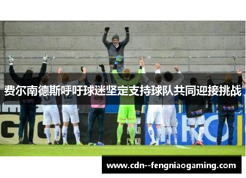 费尔南德斯呼吁球迷坚定支持球队共同迎接挑战