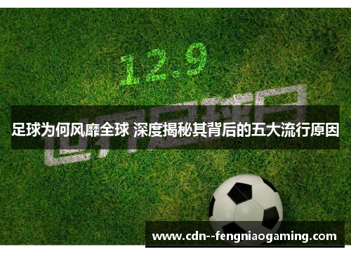 足球为何风靡全球 深度揭秘其背后的五大流行原因 足球为何风靡全球 深度揭秘其背后的五大流行原因
