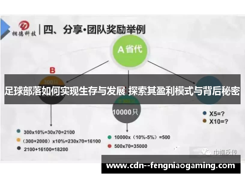 足球部落如何实现生存与发展 探索其盈利模式与背后秘密