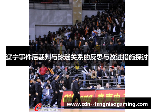 辽宁事件后裁判与球迷关系的反思与改进措施探讨