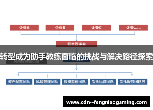 转型成为助手教练面临的挑战与解决路径探索