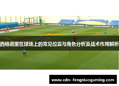 西格诺里在球场上的常见位置与角色分析及战术作用解析
