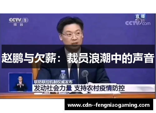 赵鹏与欠薪：裁员浪潮中的声音