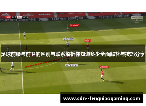 足球前腰与前卫的区别与联系解析你知道多少全面解答与技巧分享