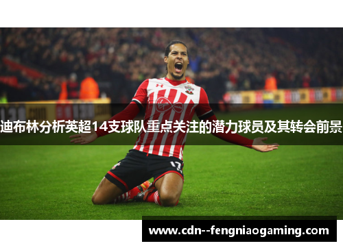 迪布林分析英超14支球队重点关注的潜力球员及其转会前景