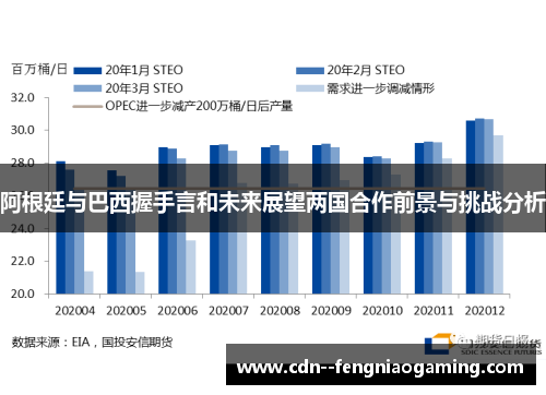 阿根廷与巴西握手言和未来展望两国合作前景与挑战分析