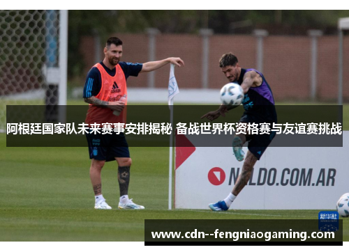 阿根廷国家队未来赛事安排揭秘 备战世界杯资格赛与友谊赛挑战
