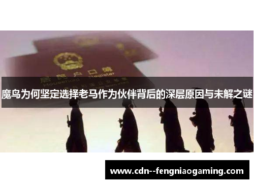 魔鸟为何坚定选择老马作为伙伴背后的深层原因与未解之谜