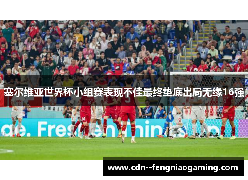 塞尔维亚世界杯小组赛表现不佳最终垫底出局无缘16强